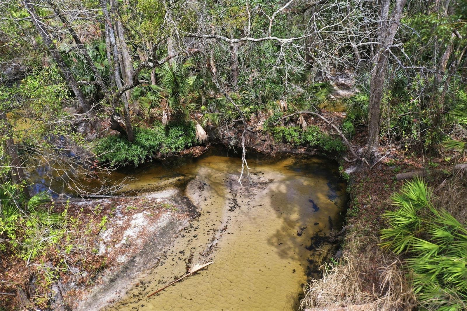 Image 47 of 49 For 408 Avondale Court