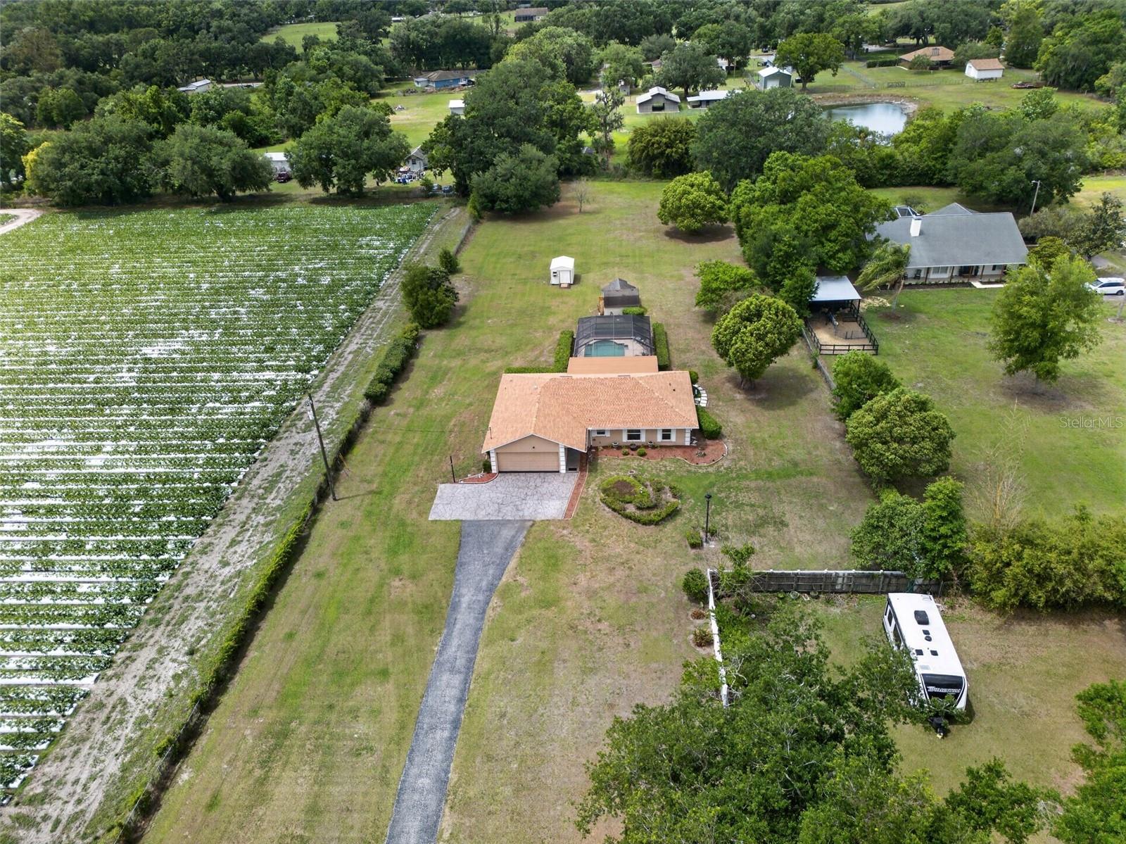 Listing photo id 42 for 2425 Hawk Griffin Road