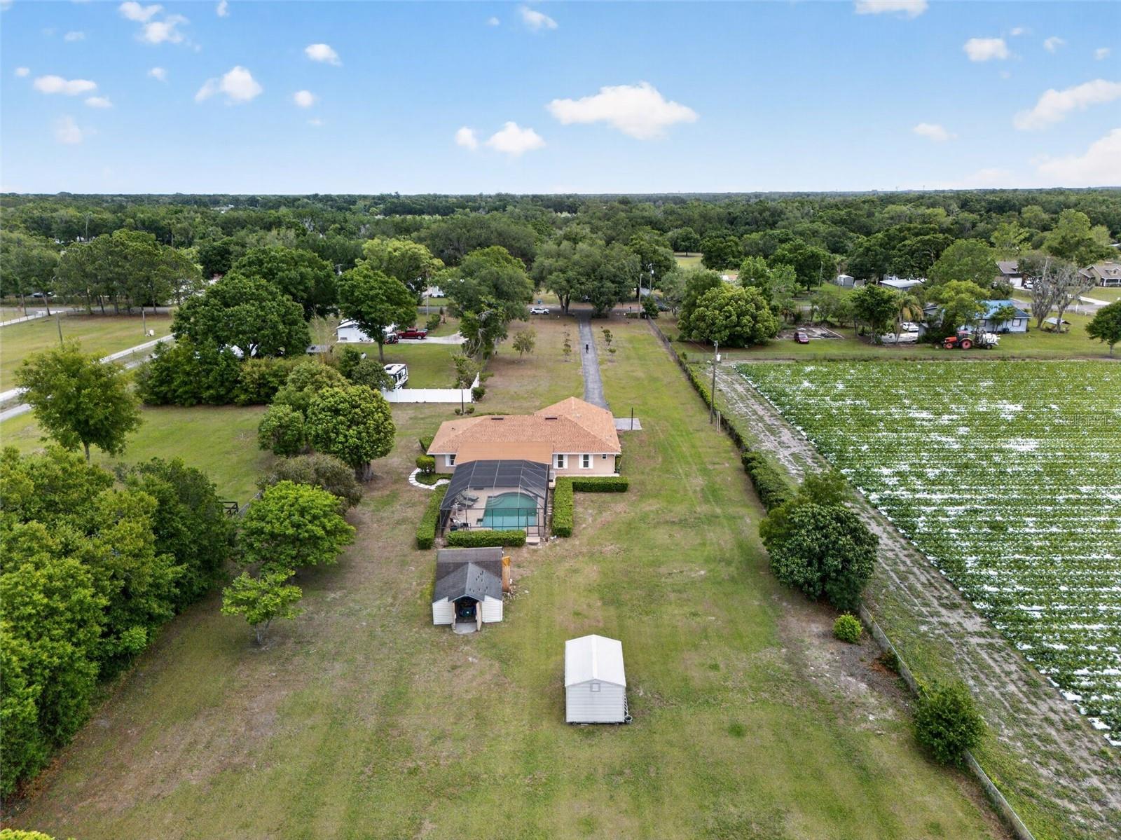 Listing photo id 43 for 2425 Hawk Griffin Road