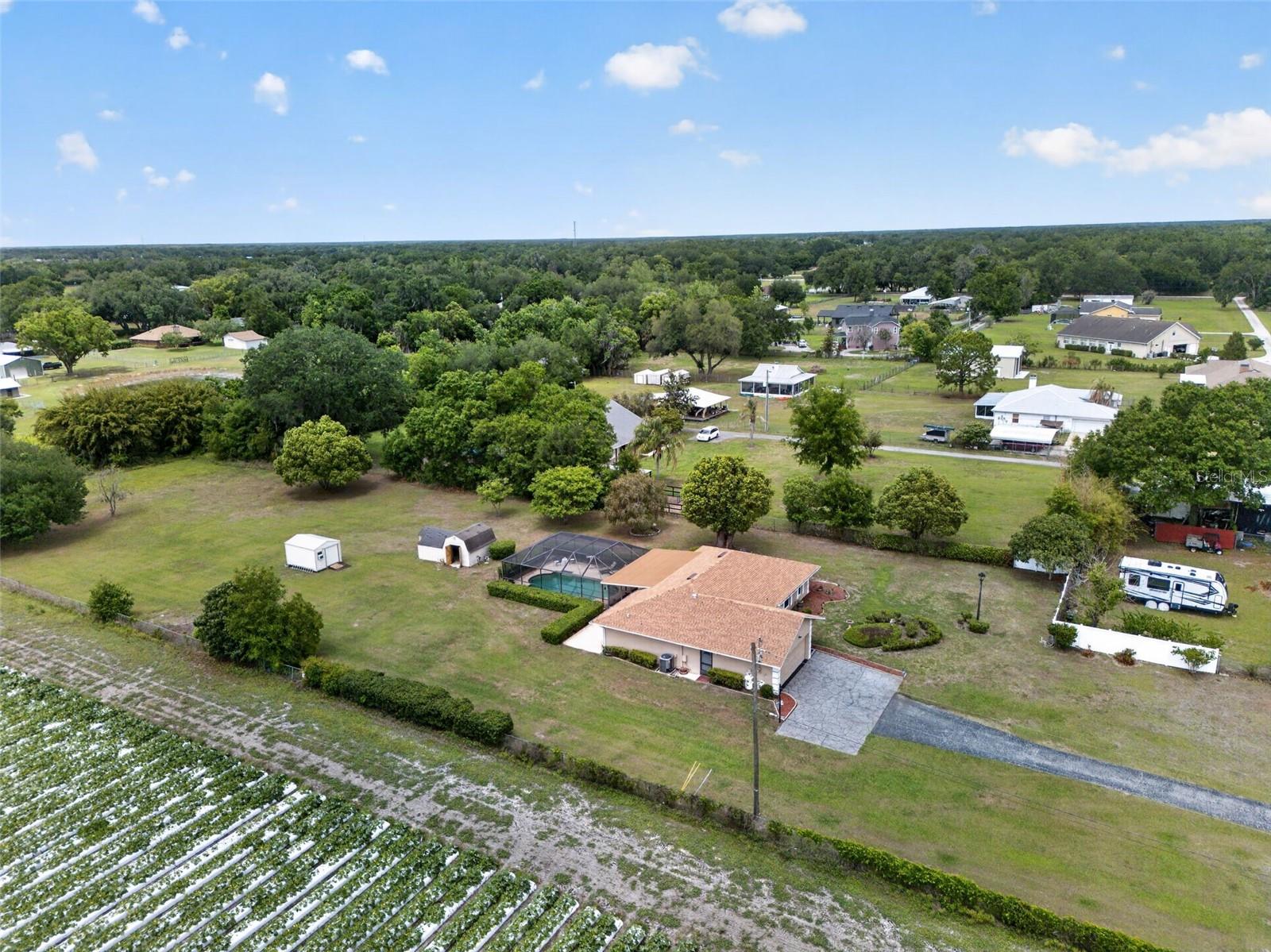 Listing photo id 45 for 2425 Hawk Griffin Road