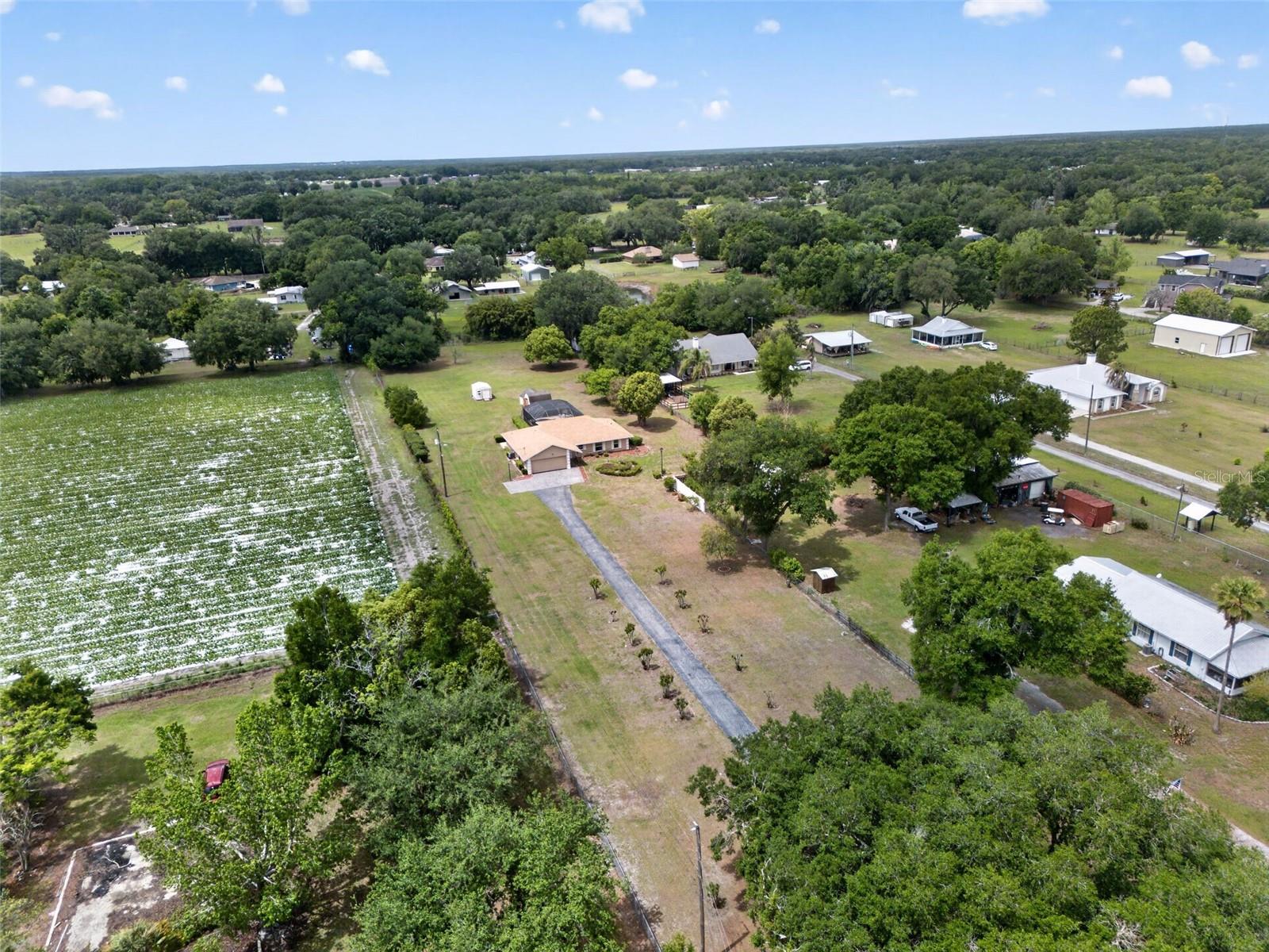 Listing photo id 46 for 2425 Hawk Griffin Road