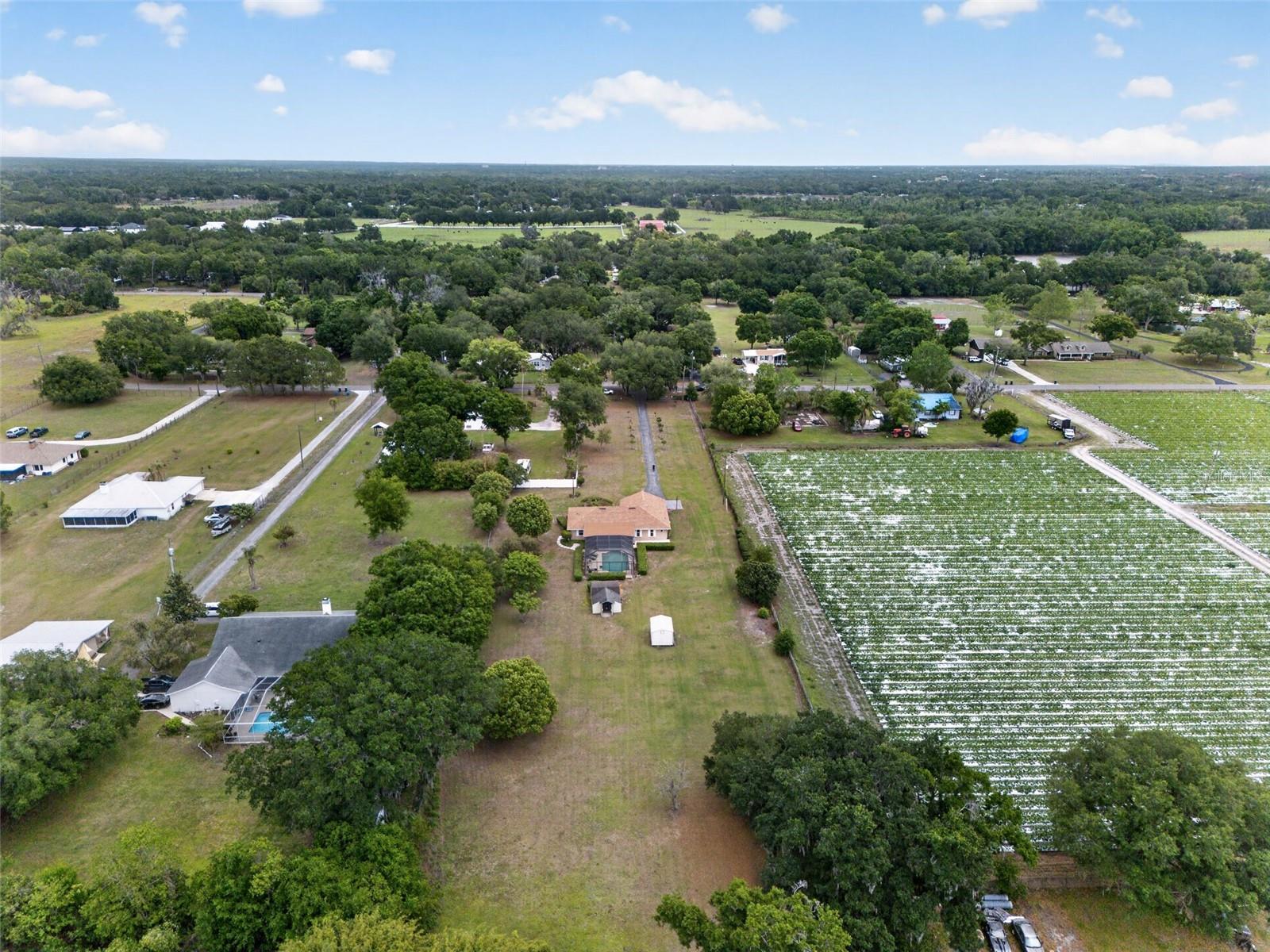 Listing photo id 47 for 2425 Hawk Griffin Road