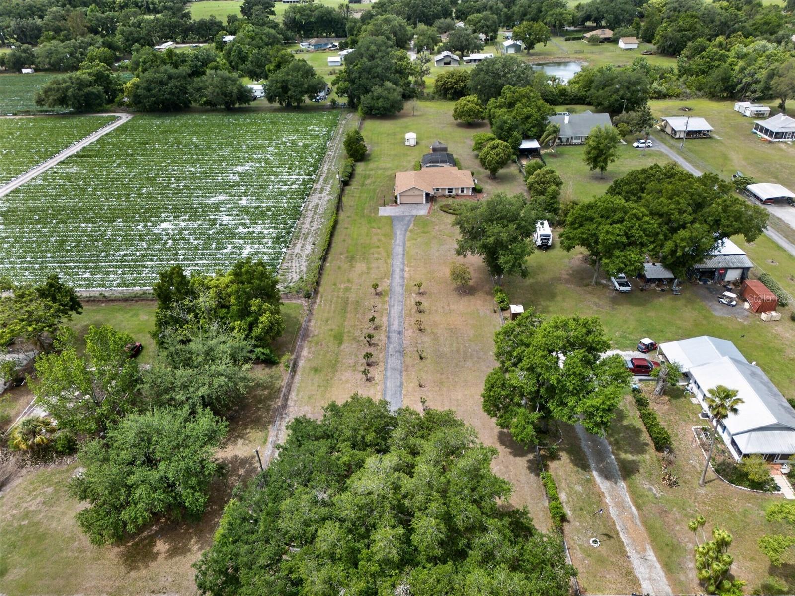 Listing photo id 3 for 2425 Hawk Griffin Road