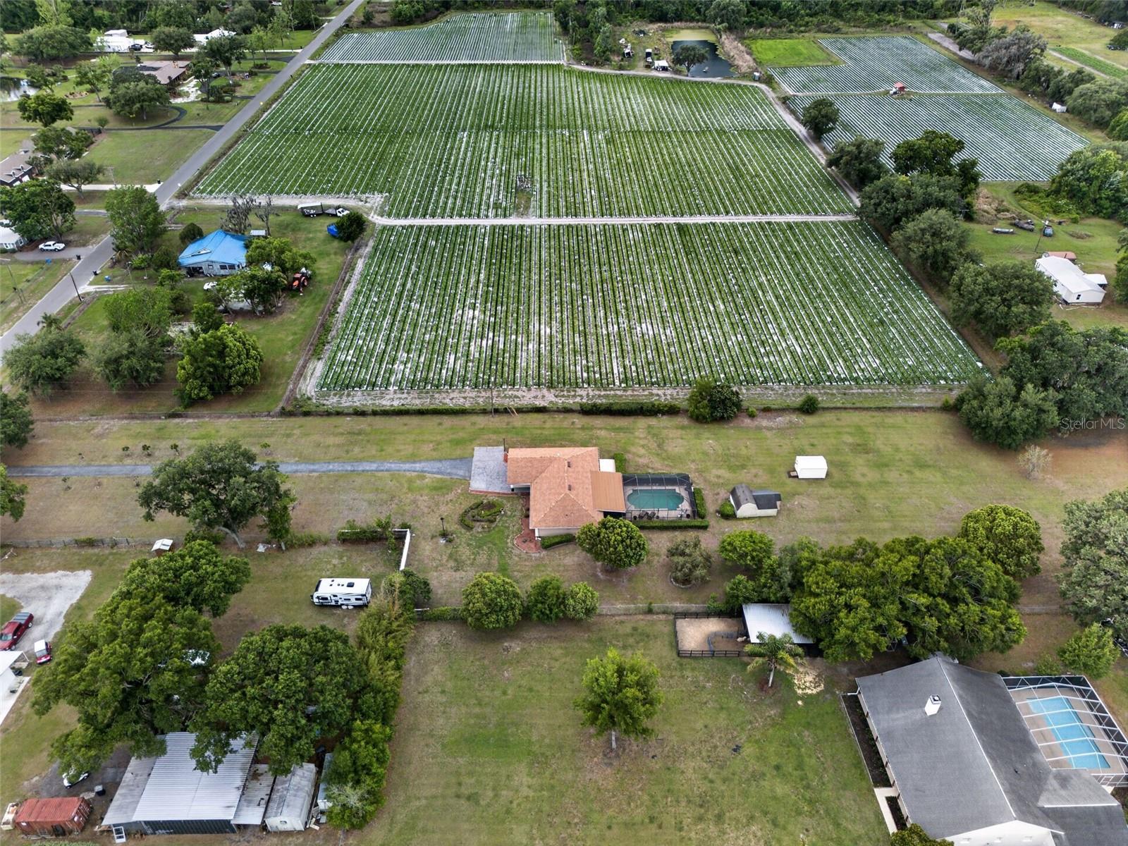 Listing photo id 48 for 2425 Hawk Griffin Road