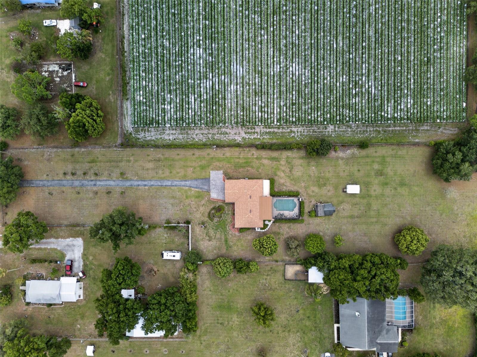 Listing photo id 49 for 2425 Hawk Griffin Road