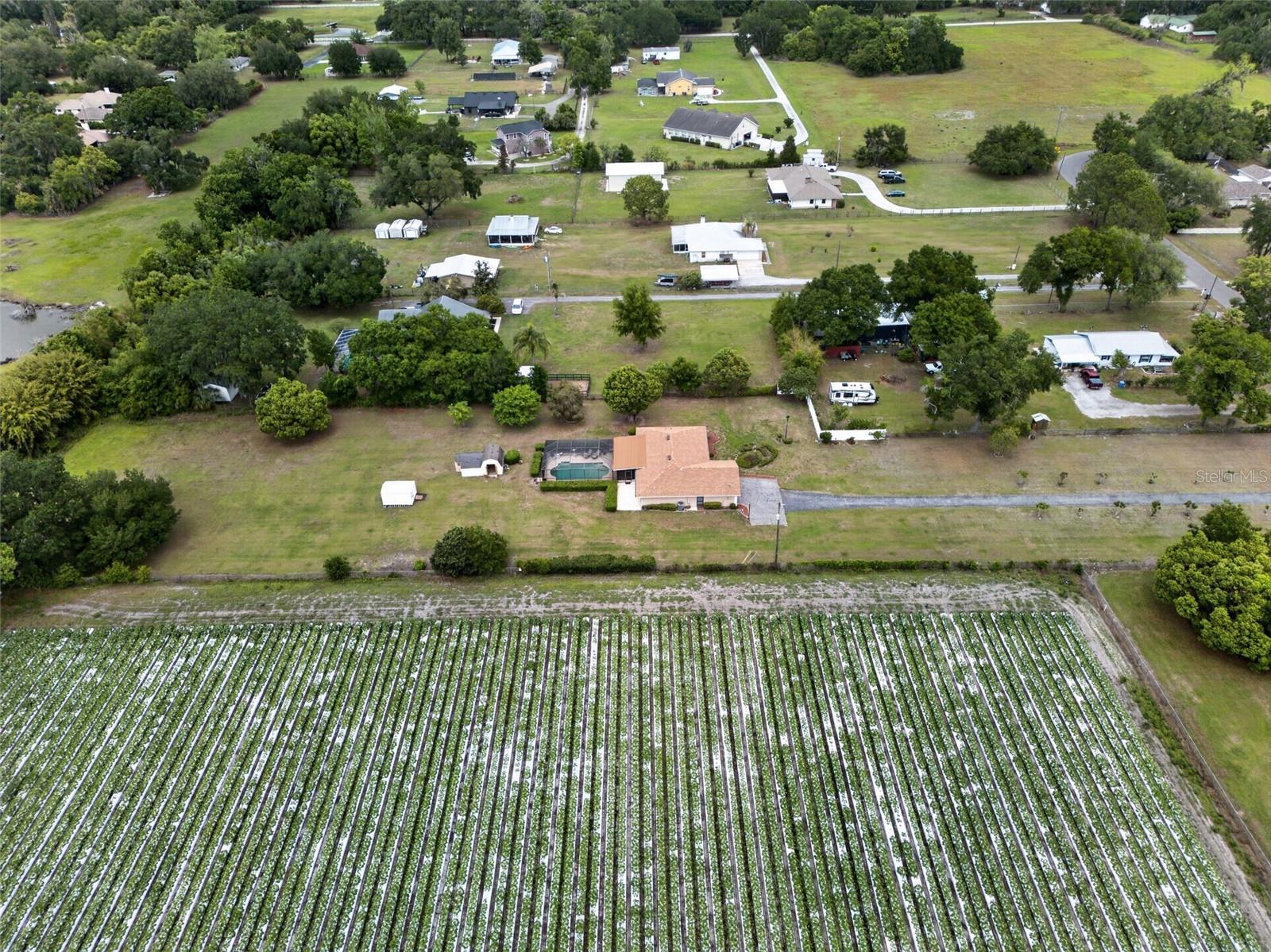 Listing photo id 50 for 2425 Hawk Griffin Road