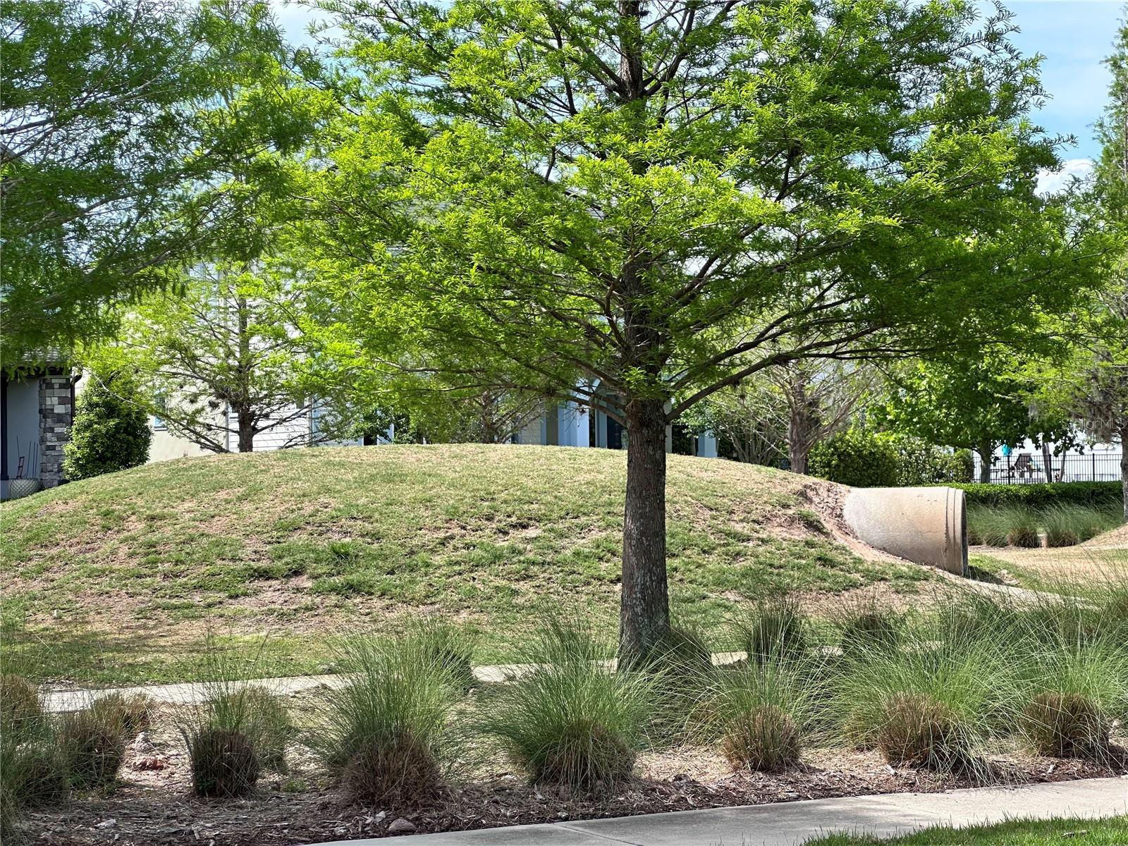 Image 40 of 50 For 9319 Richet Place