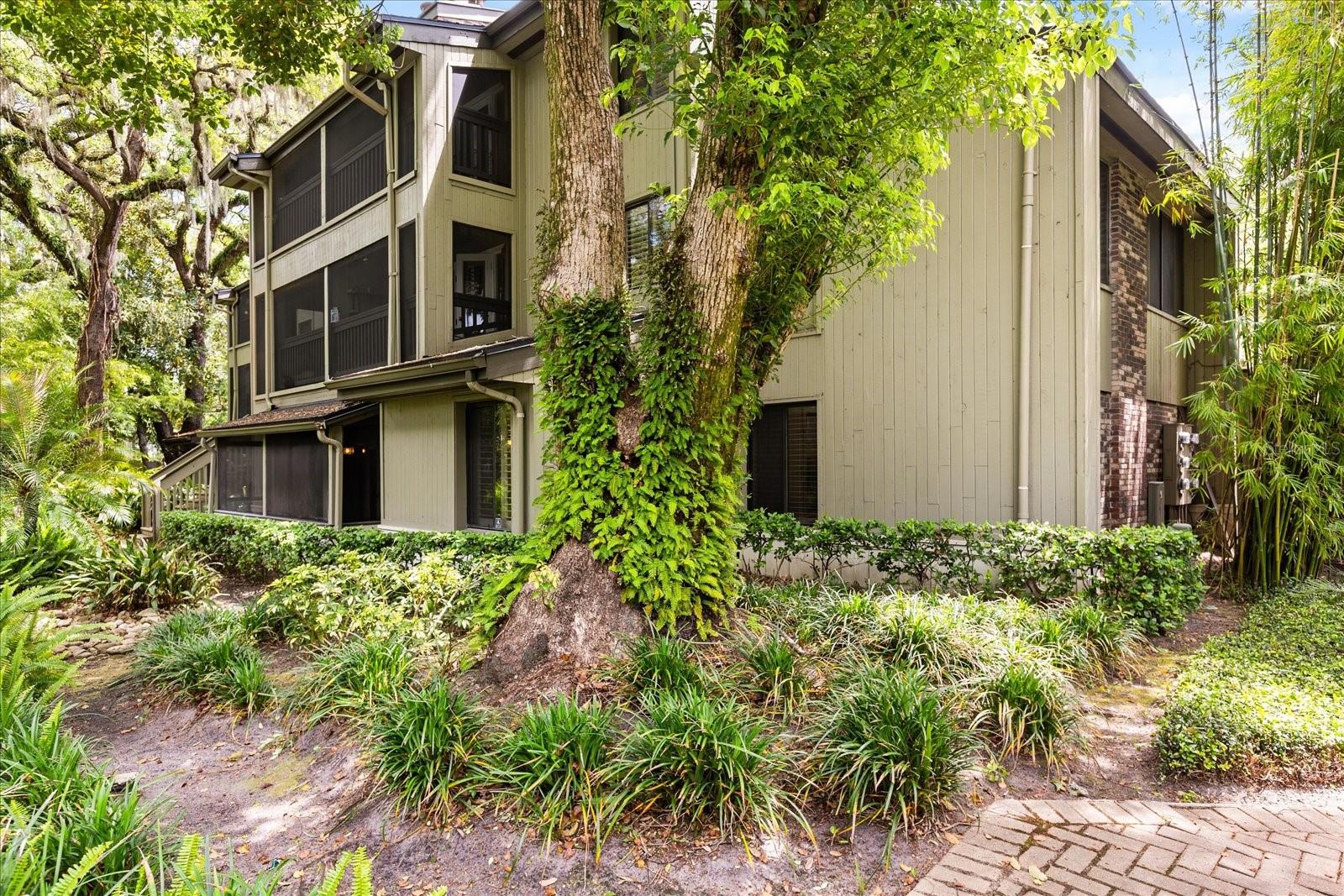 Image 35 of 50 For 546 Osceola Avenue 31