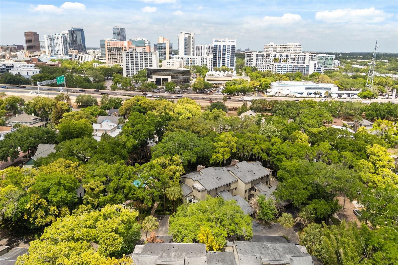 Image 44 of 50 For 546 Osceola Avenue 31