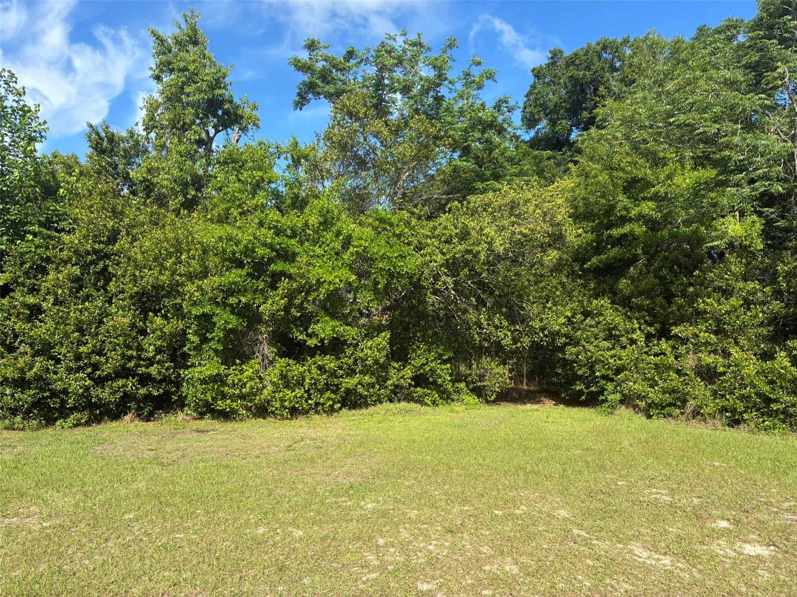Image 3 of 13 For 3752 Orange Blossom Trail