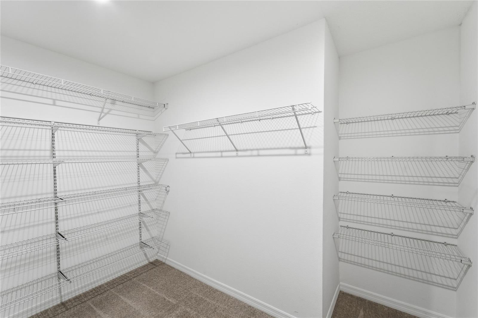 Image 22 of 50 For 3383 Florigold Grove Street Lot 244