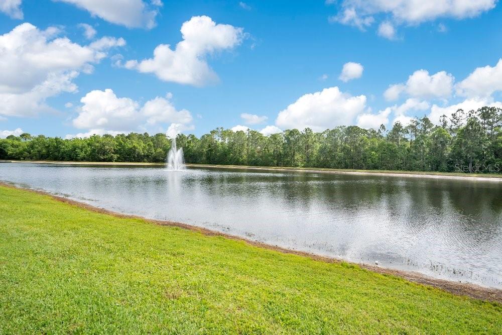 Image 29 of 42 For 9789 Portofino Drive