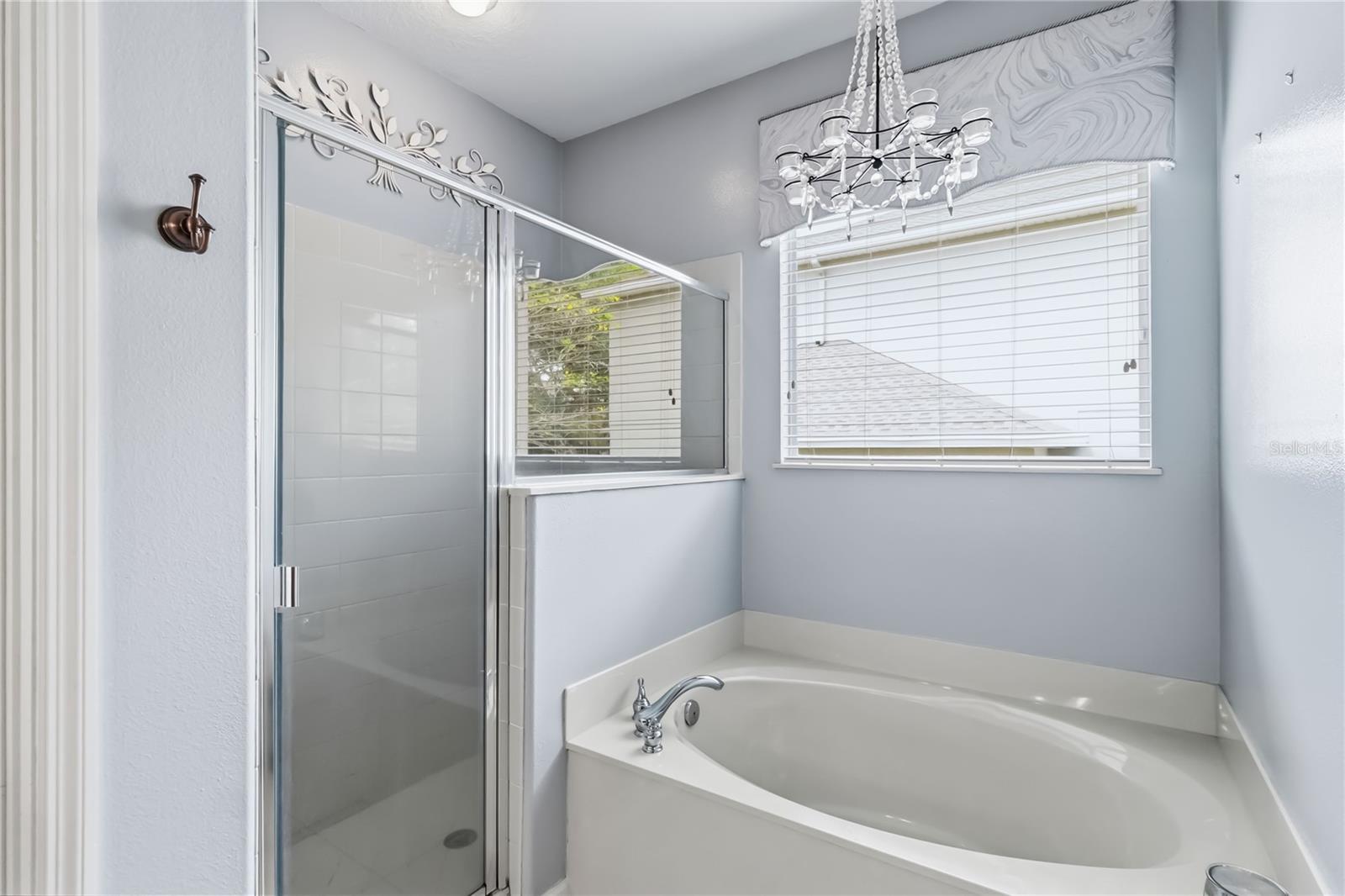 Image 17 of 39 For 1925 Breezy Hill Drive Windermere F