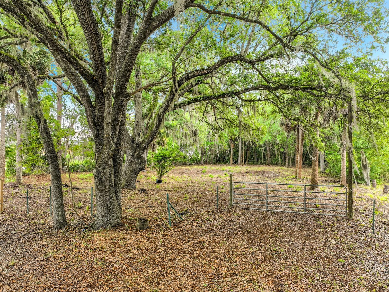 Image 10 of 18 For 4011 Mellonville Avenue