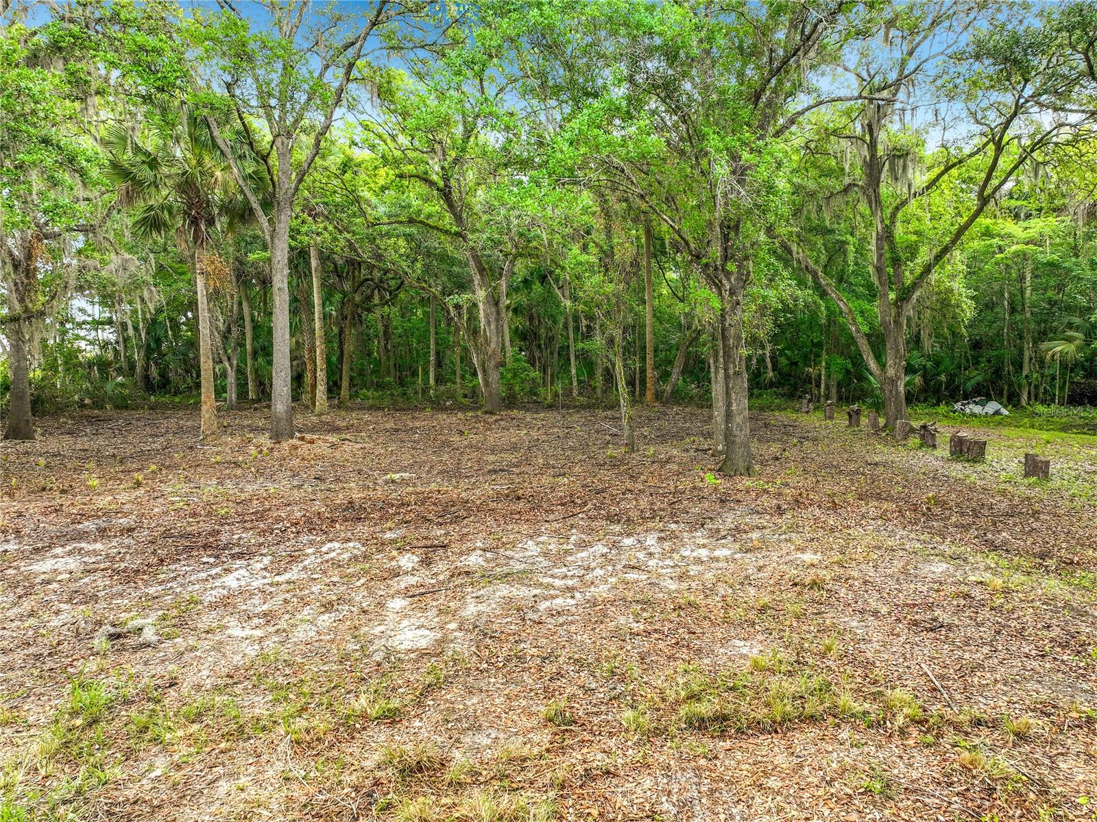 Image 13 of 18 For 4011 Mellonville Avenue