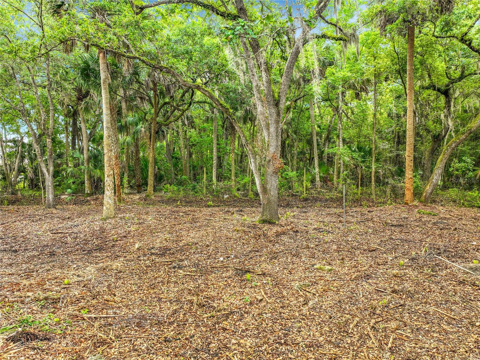 Image 14 of 18 For 4011 Mellonville Avenue