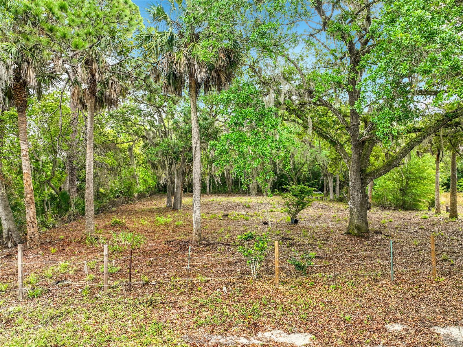 Image 9 of 18 For 4011 Mellonville Avenue