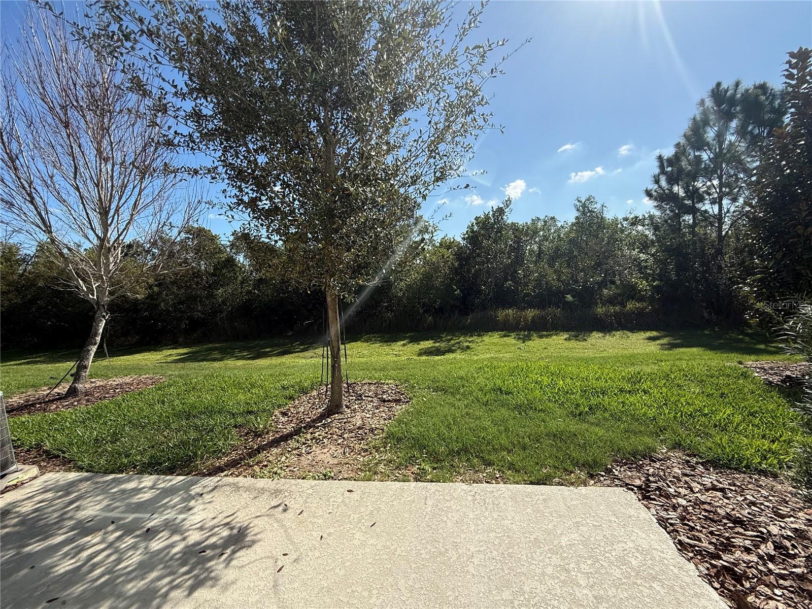 Image 7 of 24 For Address Not Provided