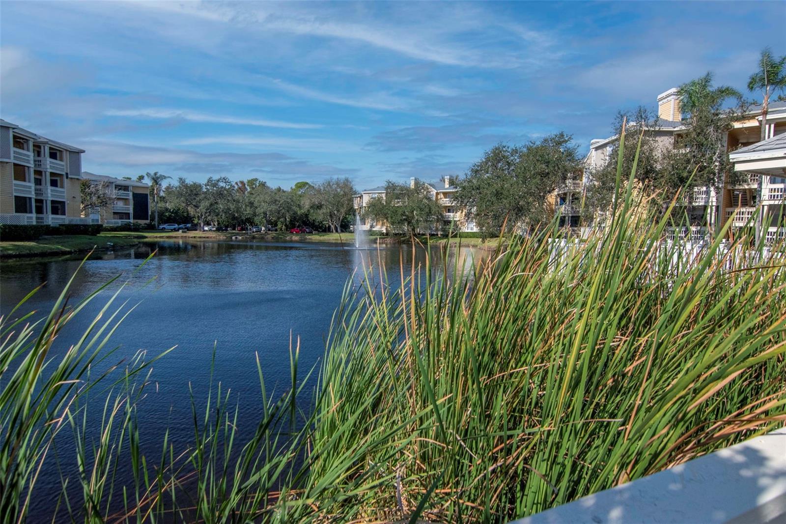 Image 20 of 23 For 115 112th Avenue Ne 803