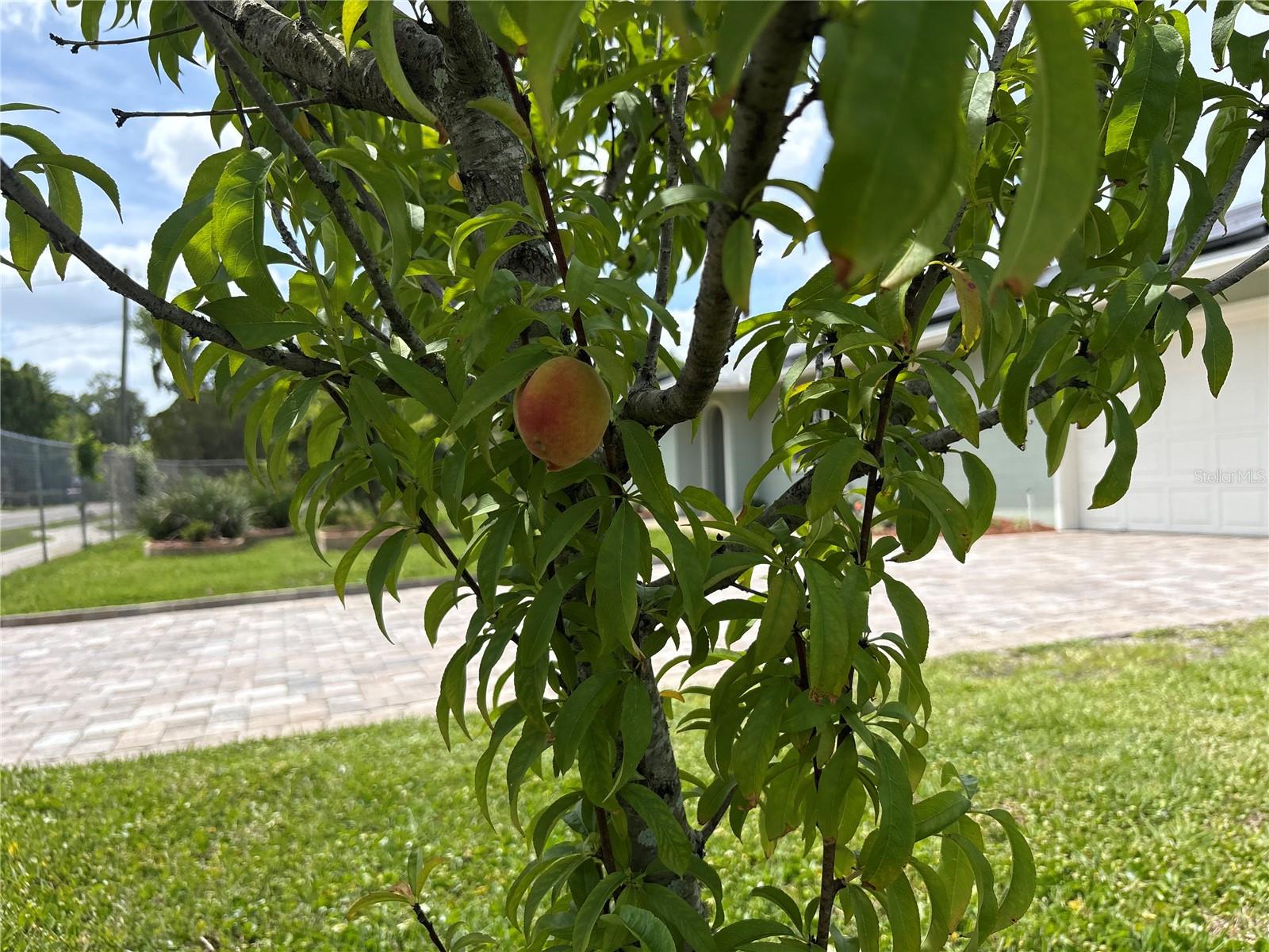 Image 34 of 47 For 8595 Millinockett Lane