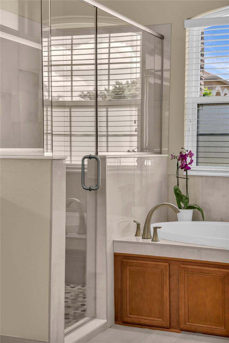 Image 29 of 52 For 9806 Mountain Lake Drive