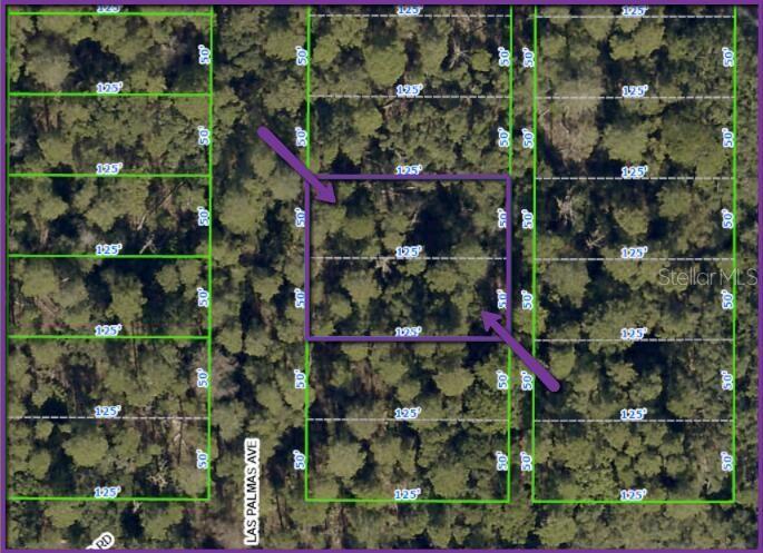 Details for 0 Las Palmas Avenue Lot 11 & 1, SPRING HILL, FL 34606
