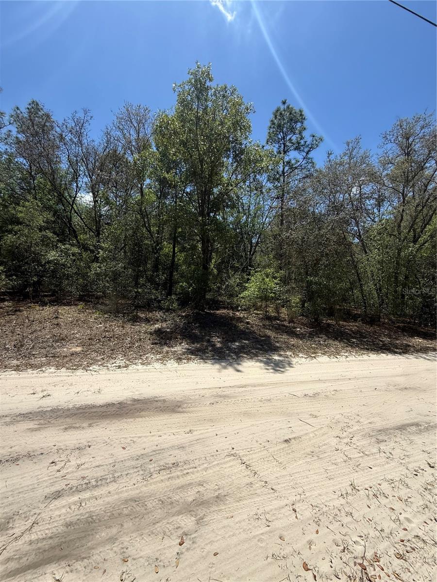 Image 3 of 3 For  118th Lane 