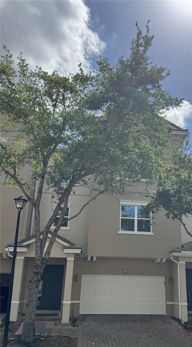 Image 29 of 30 For 1191 Bolton Place