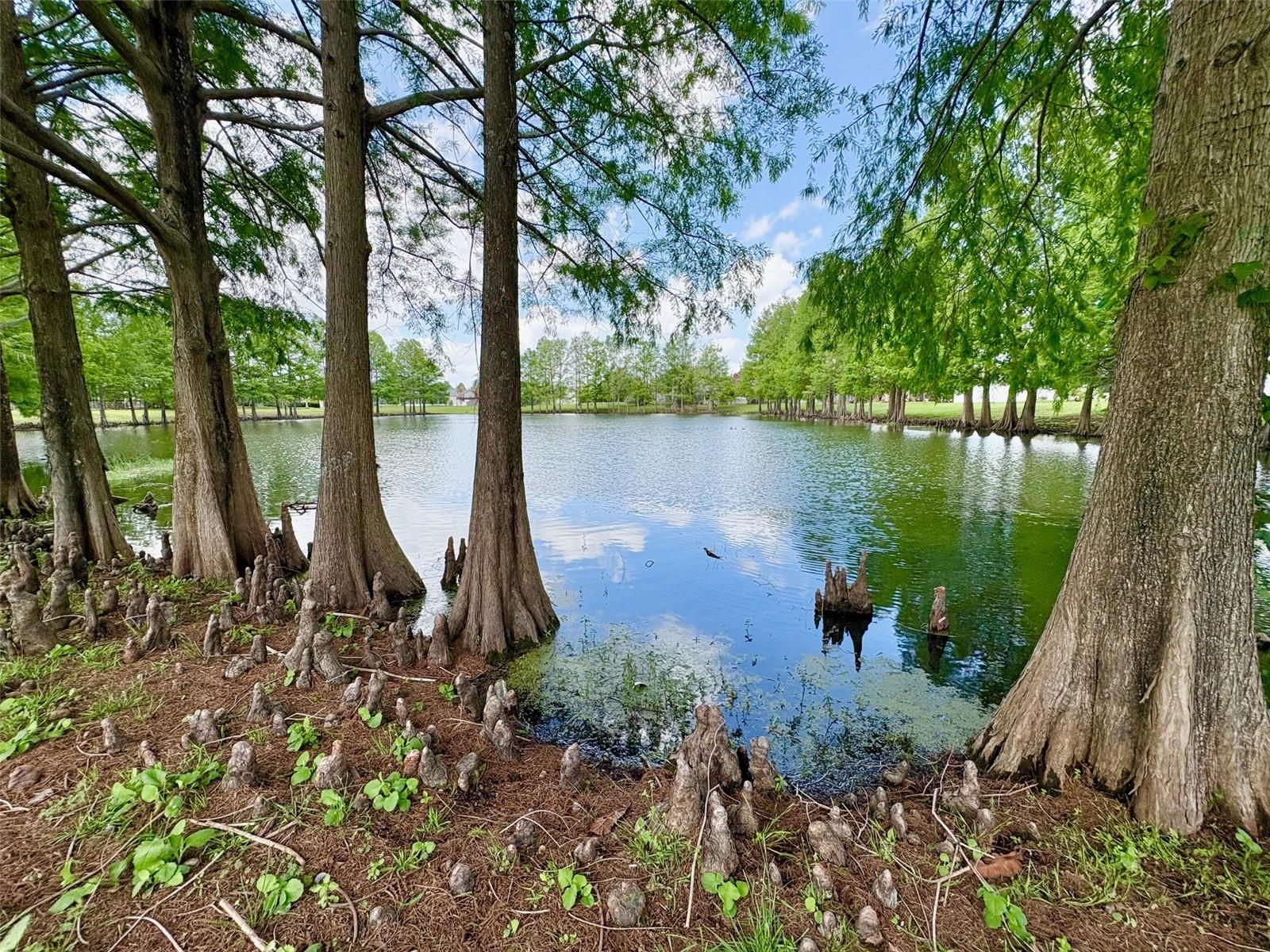 Image 2 of 32 For 2813 Rolling Broak Drive