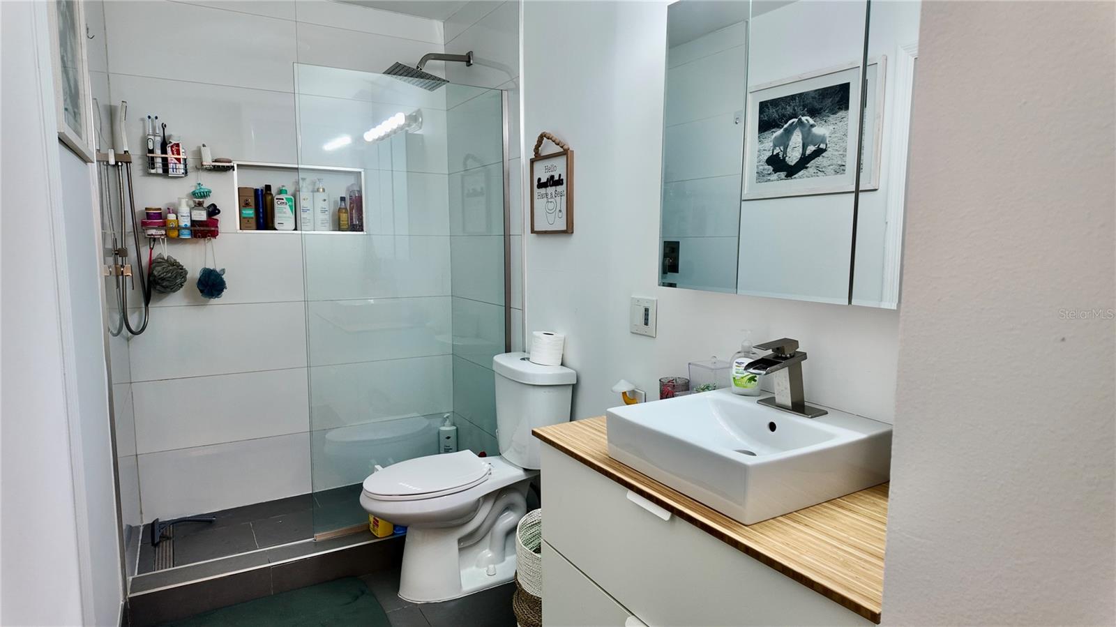 Image 26 of 45 For 4694 Pheasant Run Drive 2b