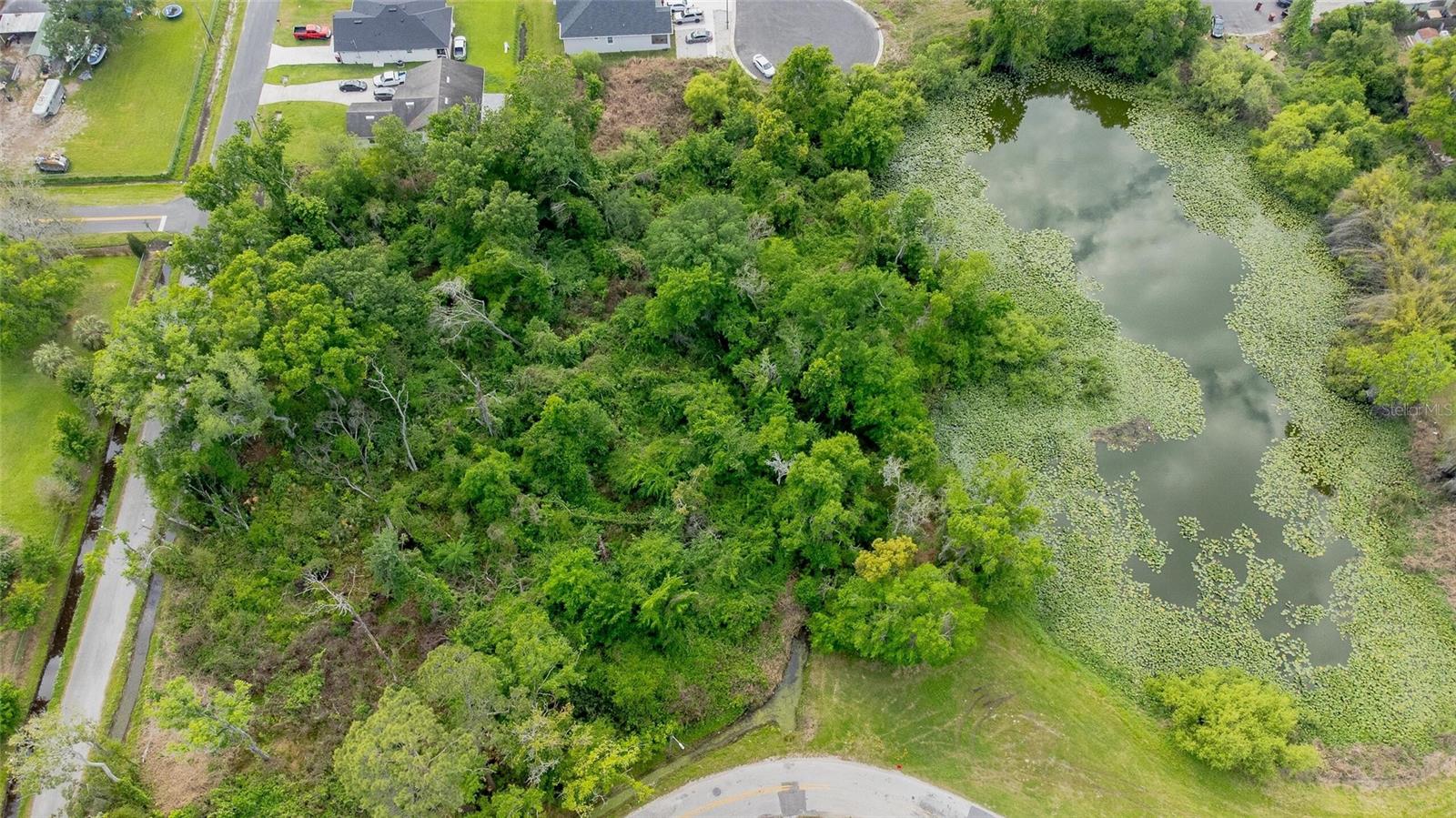 Listing photo id 0 for Seminole Lake Blvd