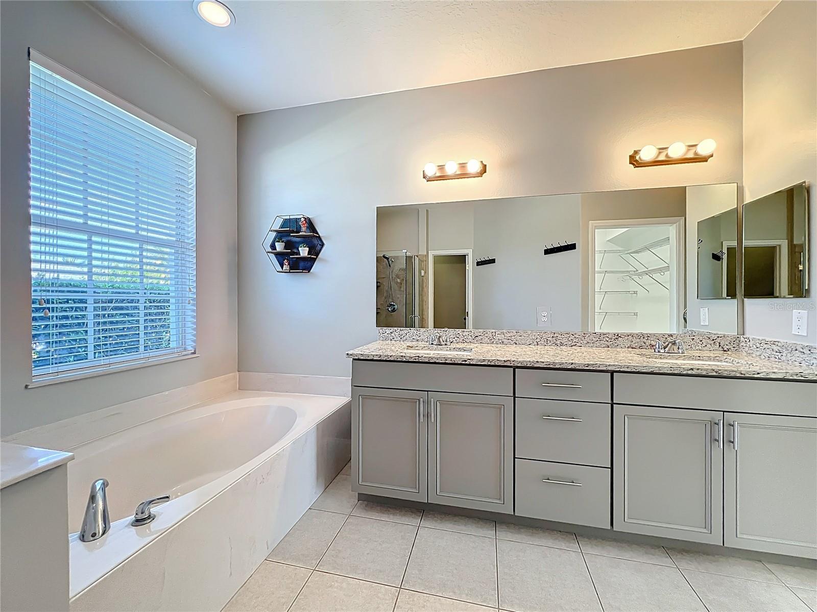 Image 42 of 98 For 9334 Whispering Meadows Lane