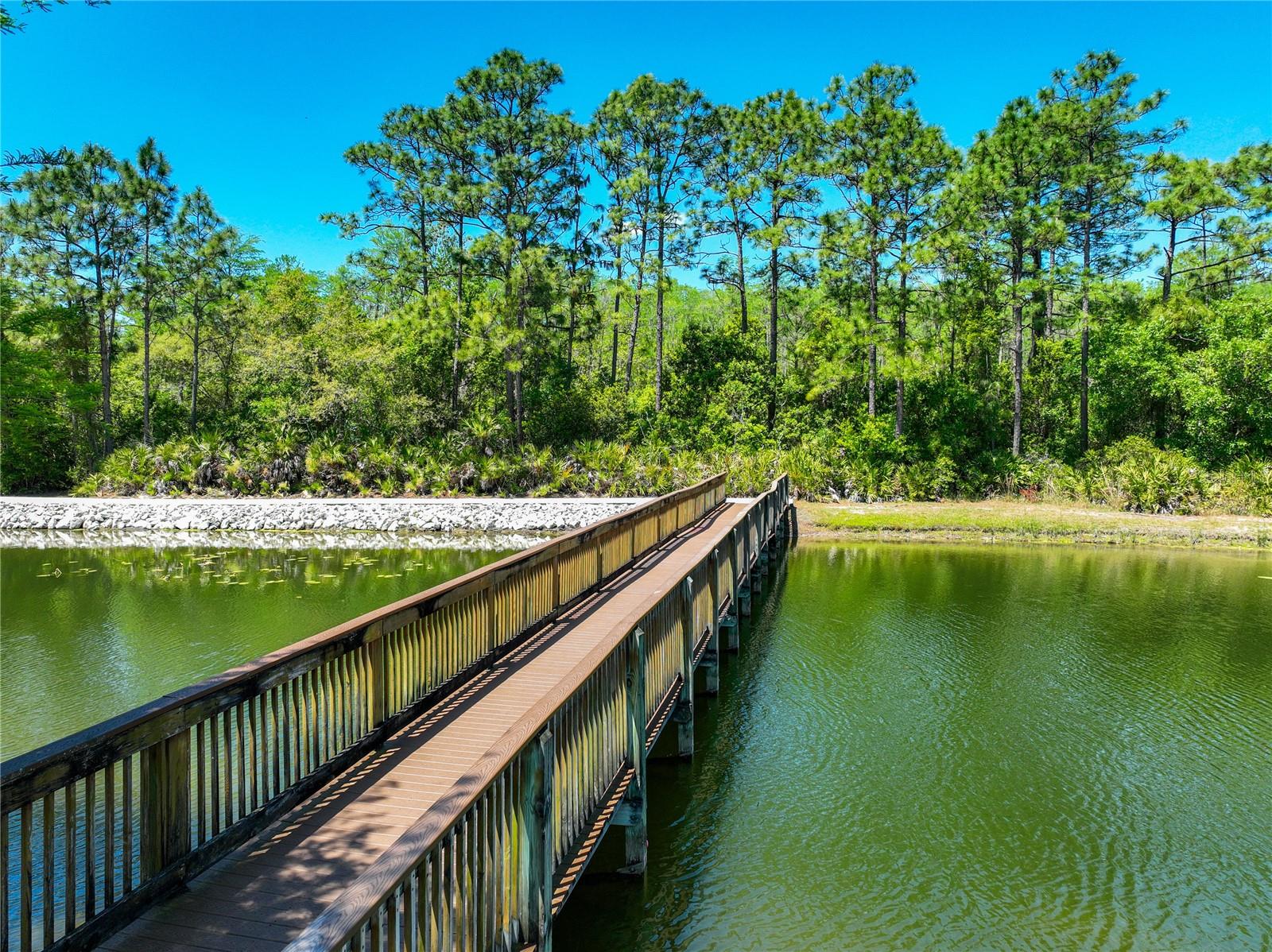 Image 92 of 98 For 9334 Whispering Meadows Lane