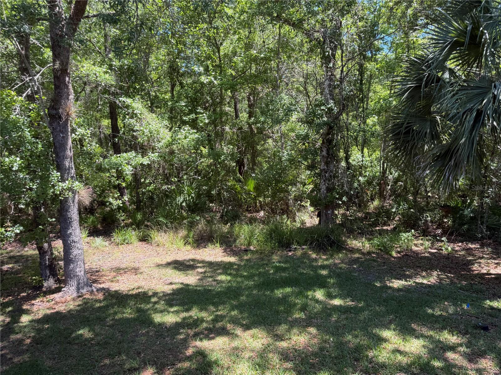 Image 24 of 29 For 683 Evening Sky Drive