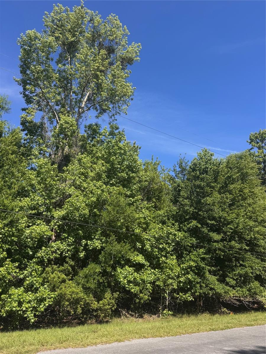 Image 20 of 22 For 5913 Edgerton Avenue