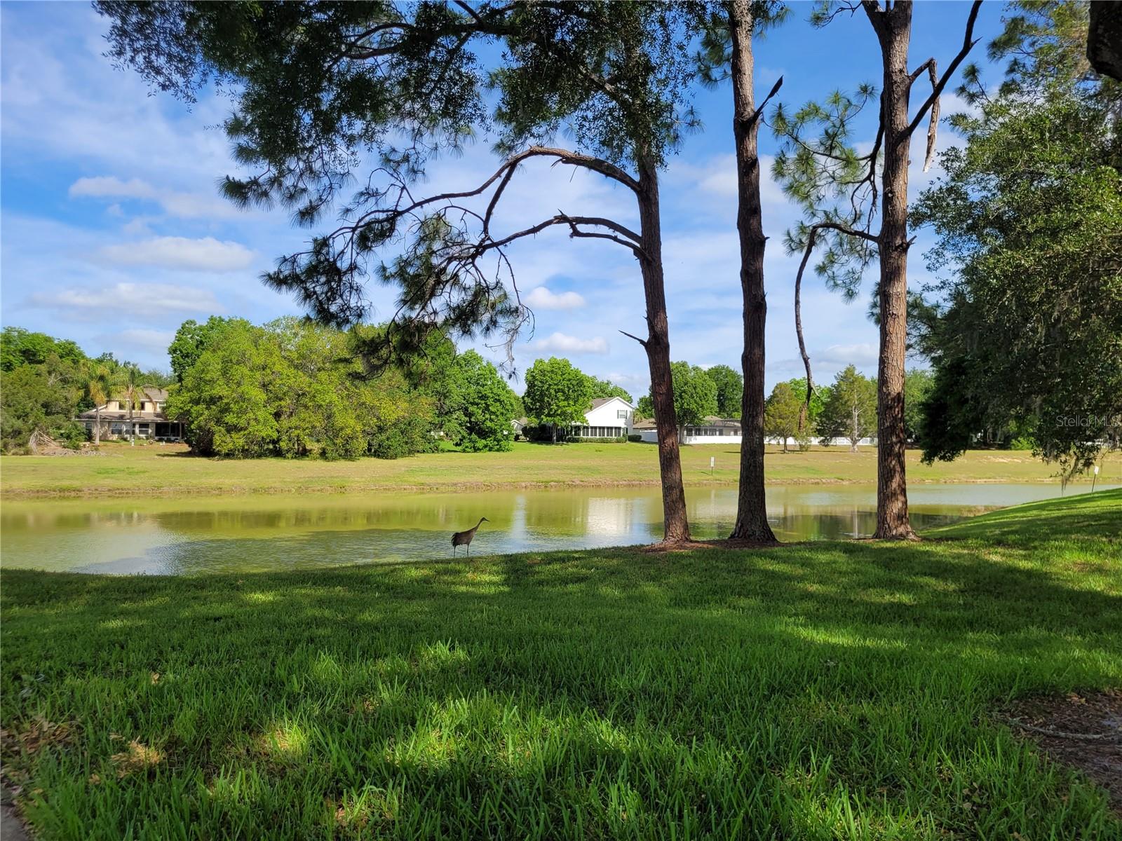 Image 43 of 65 For 432 Baytree Blvd