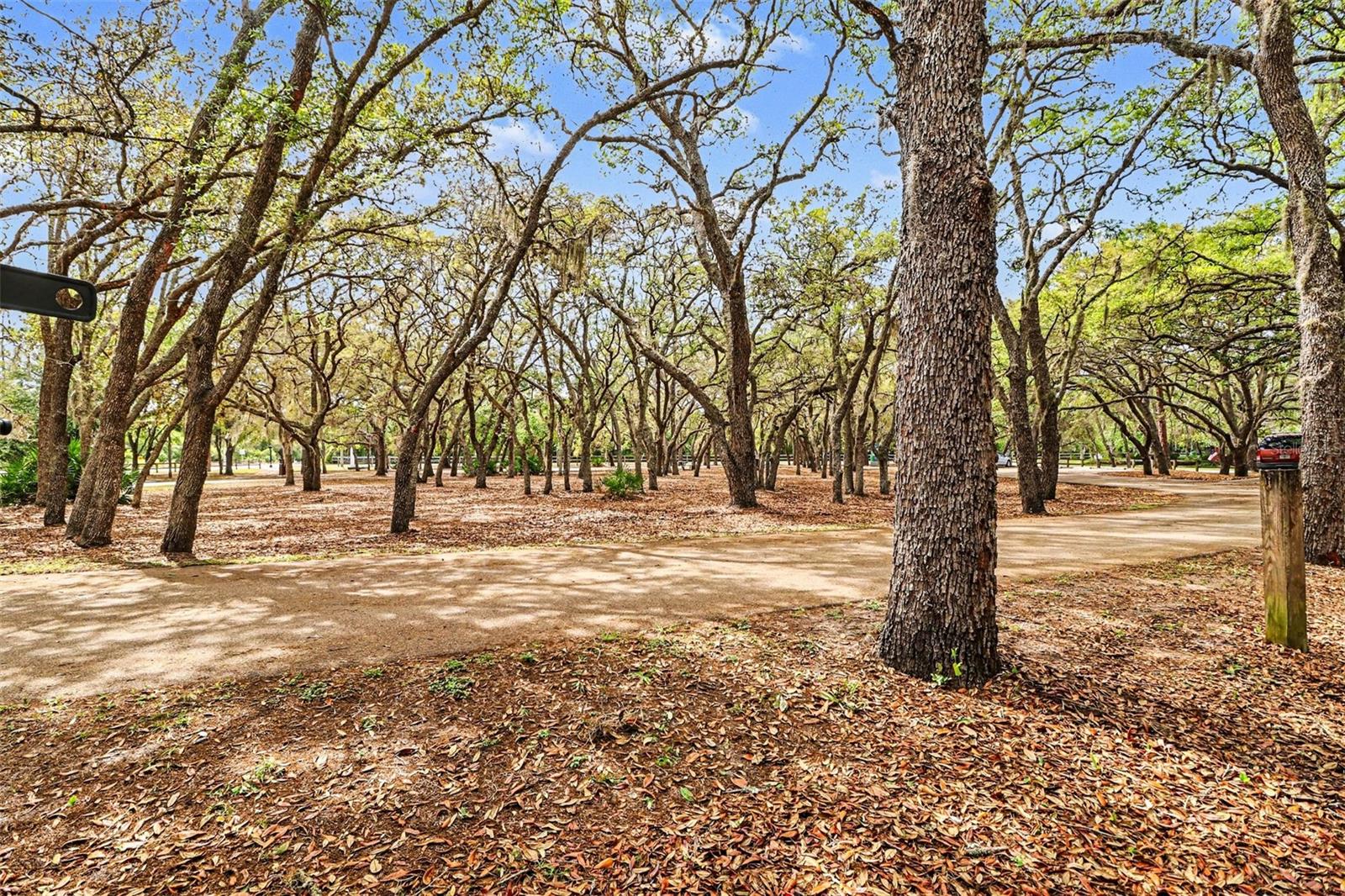 Image 26 of 31 For 100 Festive Court