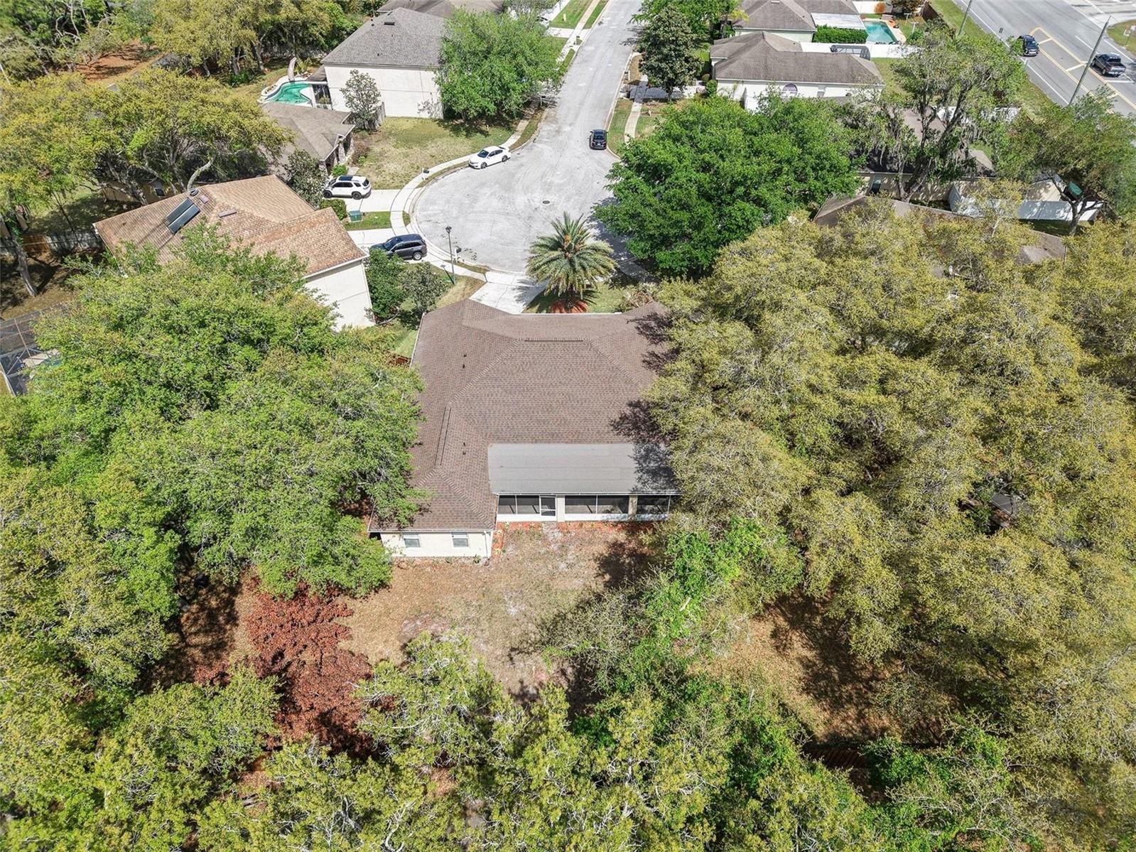 Image 28 of 31 For 100 Festive Court