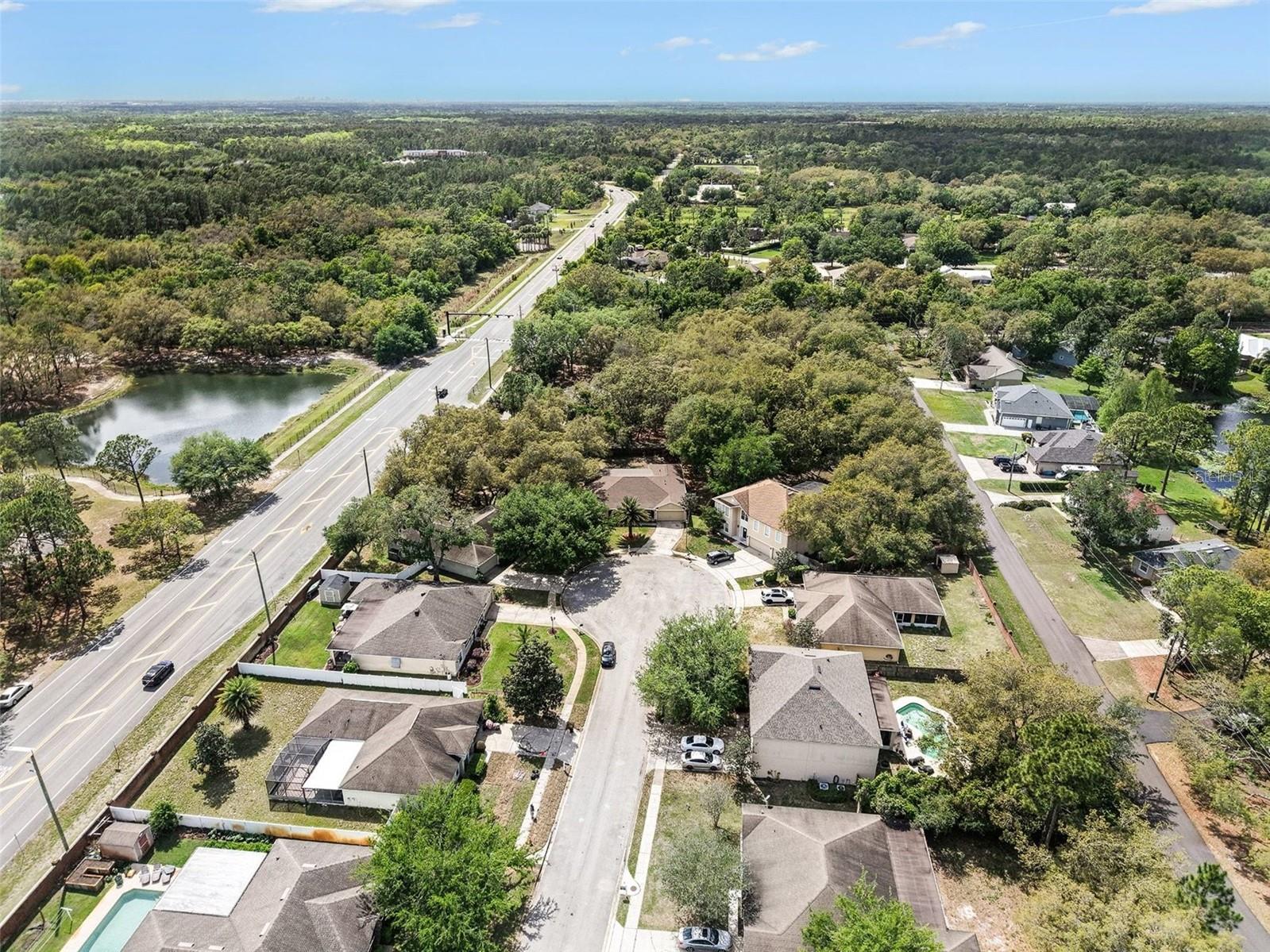 Image 29 of 31 For 100 Festive Court