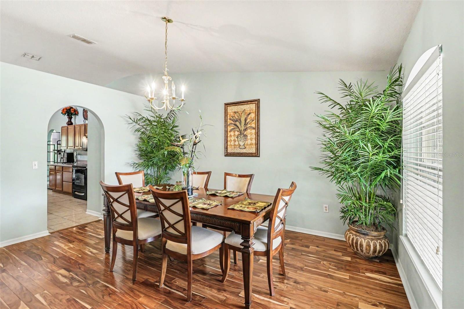 Image 7 of 31 For 100 Festive Court