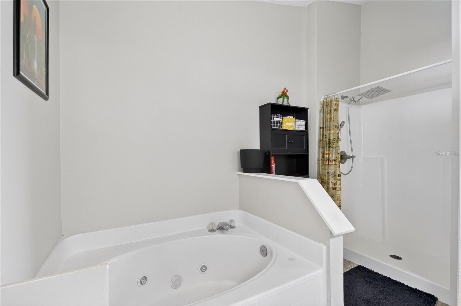 Image 19 of 49 For 718 Toulon Drive