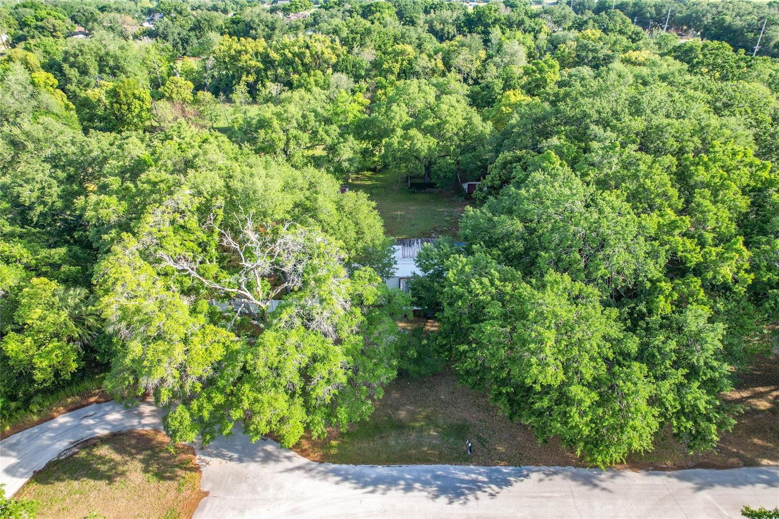 Image 3 of 51 For 821 Irene Drive