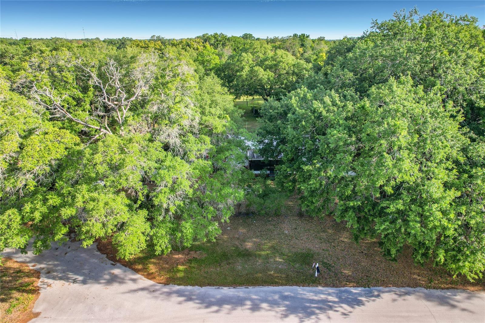 Image 4 of 51 For 821 Irene Drive