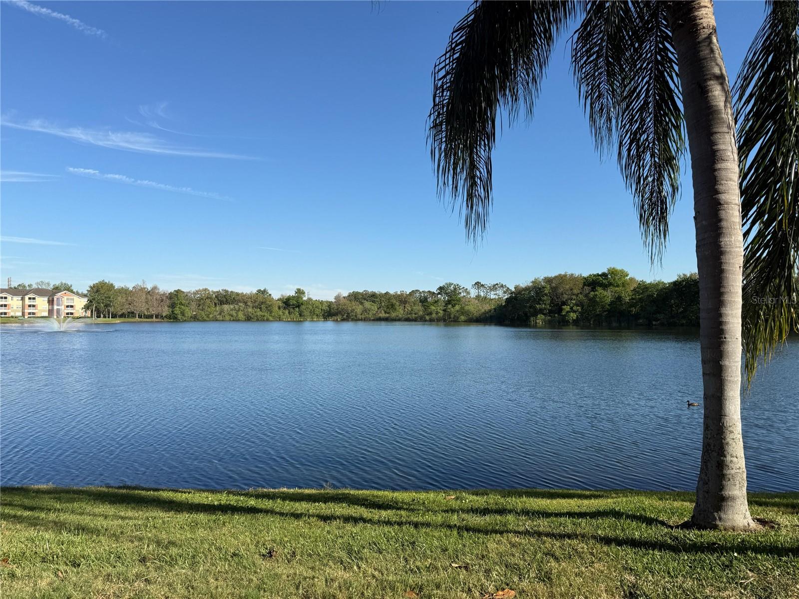 Image 16 of 18 For 1979 Summer Club Drive 213