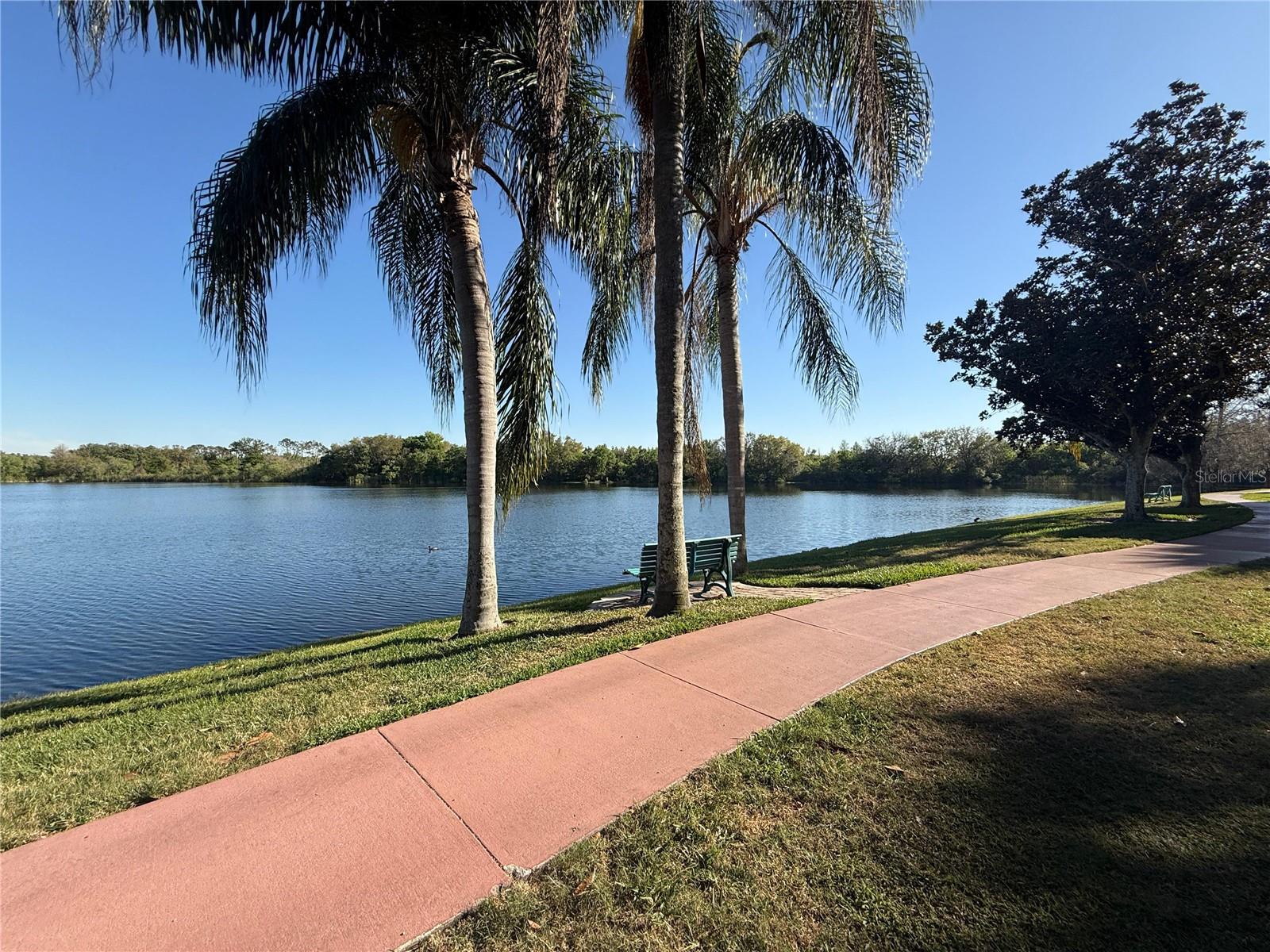 Image 17 of 18 For 1979 Summer Club Drive 213