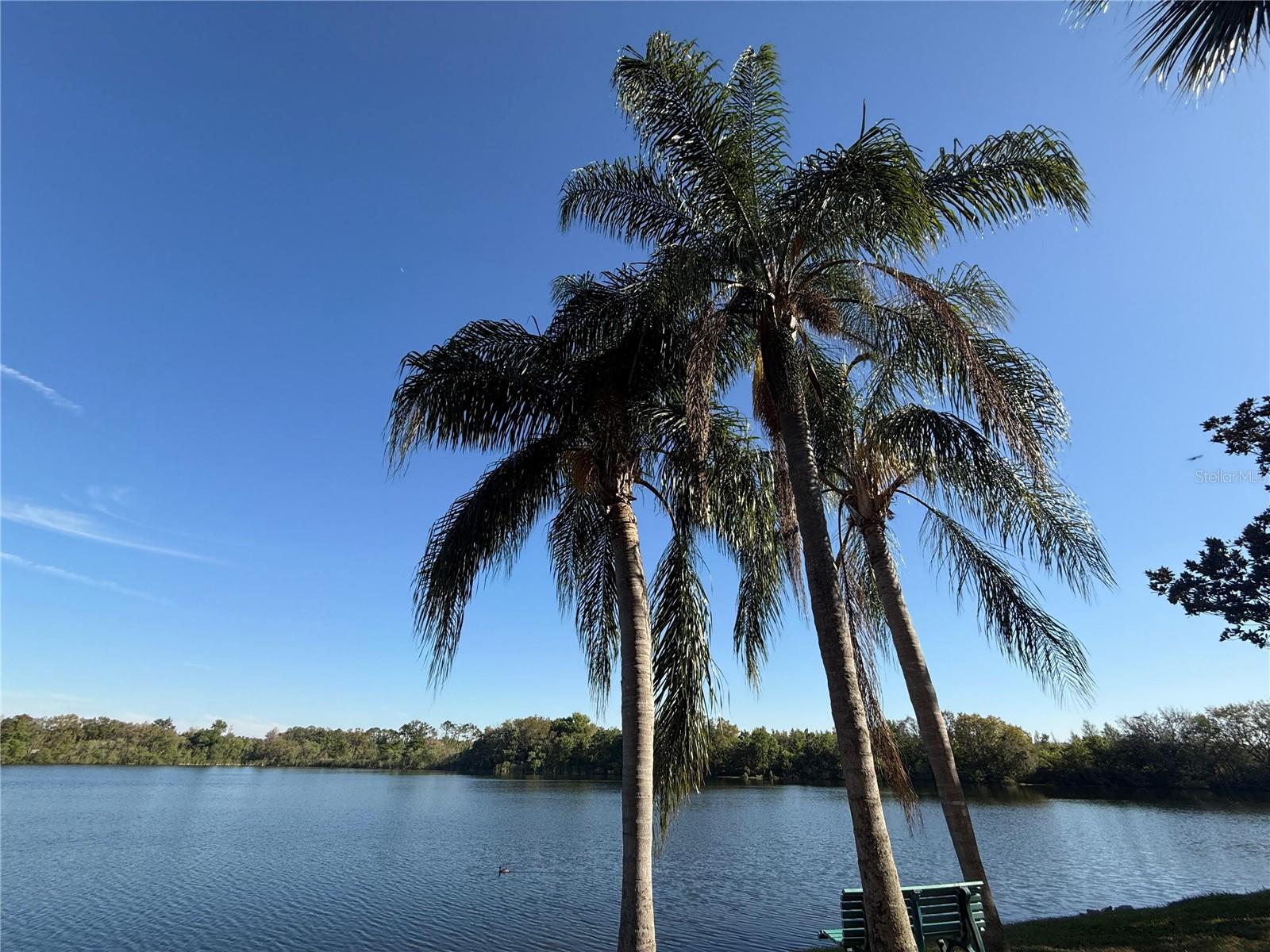 Image 18 of 18 For 1979 Summer Club Drive 213