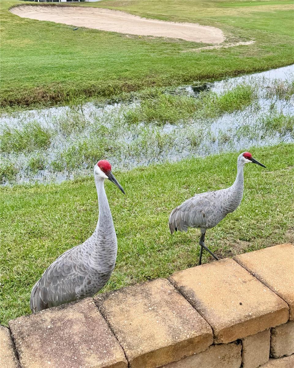 Image 40 of 51 For 146 Jack Nicklaus Lane