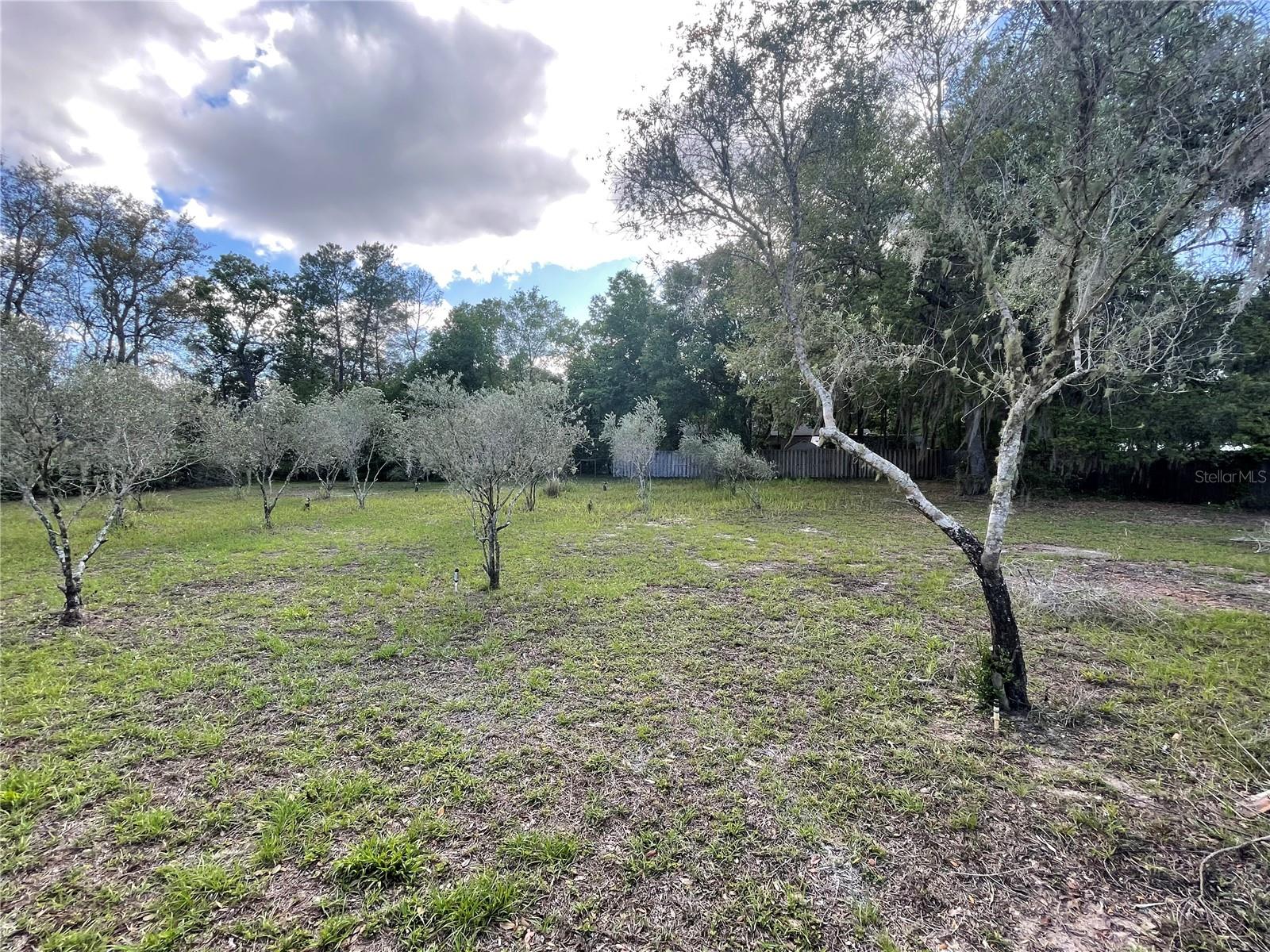 Image 3 of 14 For 2395 Tomoka Woods Parkway