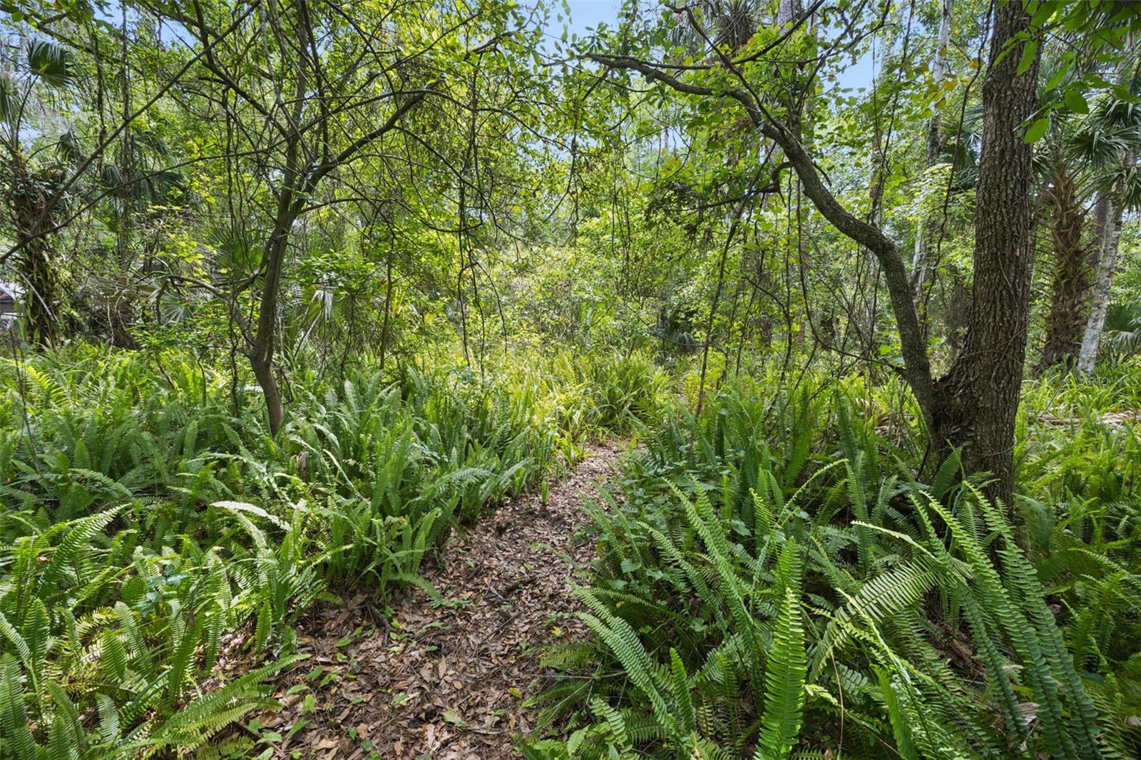 Image 27 of 35 For 25412 Mathew Street