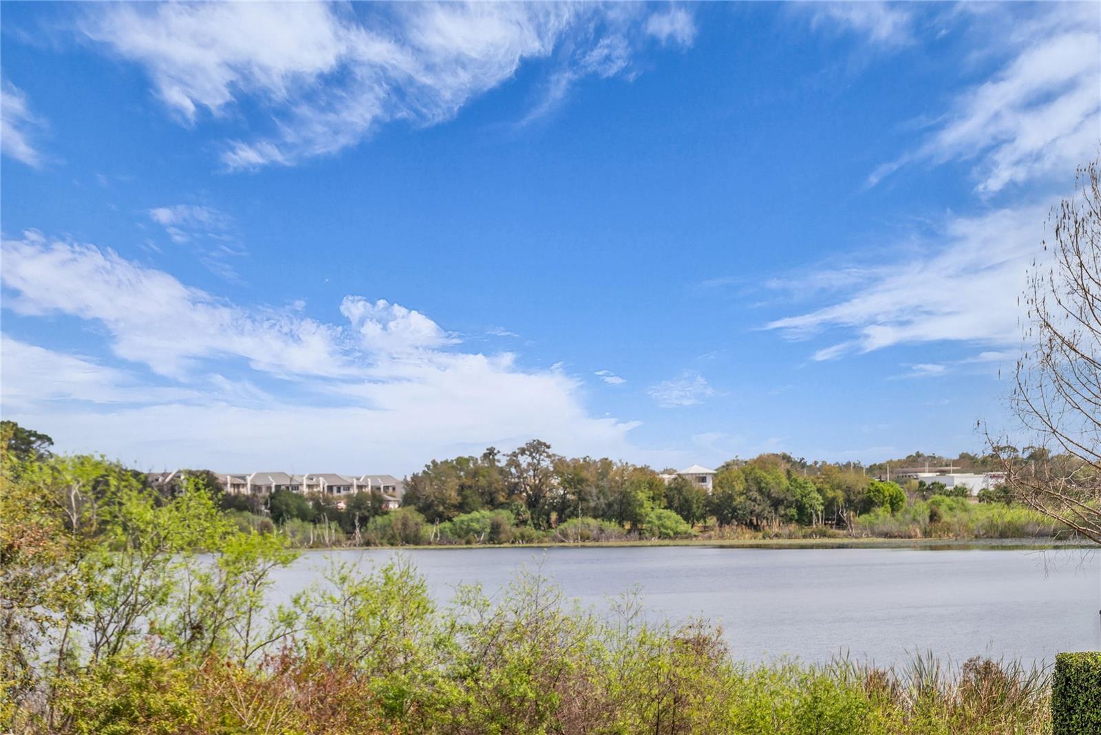 Image 42 of 43 For 1393 Benevolent Street